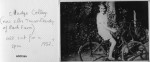Thumbs/tn_GS0116b.jpg