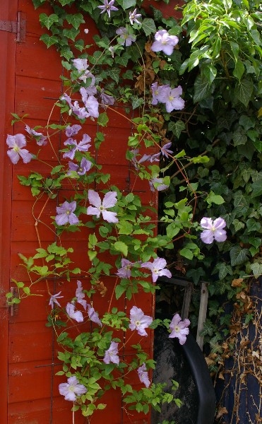../Images/IMGP2560.jpg