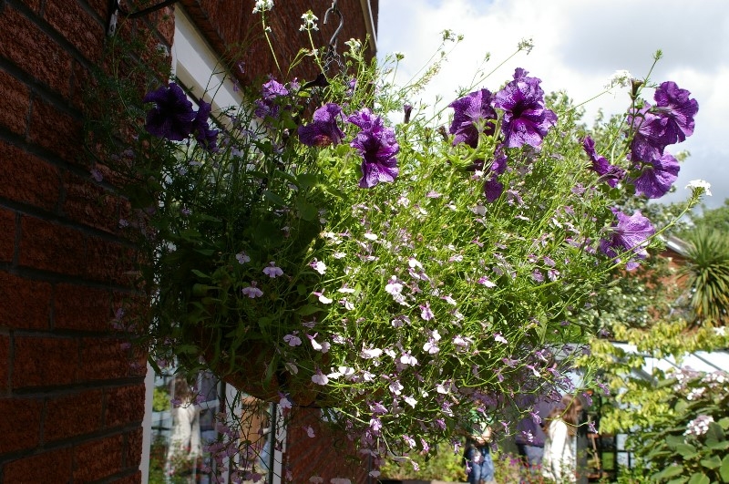 ../Images/IMGP2573.jpg