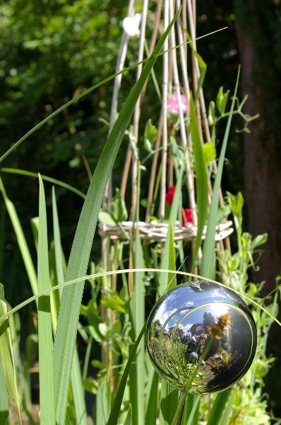 ../Images/IMGP2576.jpg