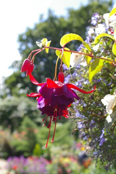 ../Images/IMGP2590.jpg