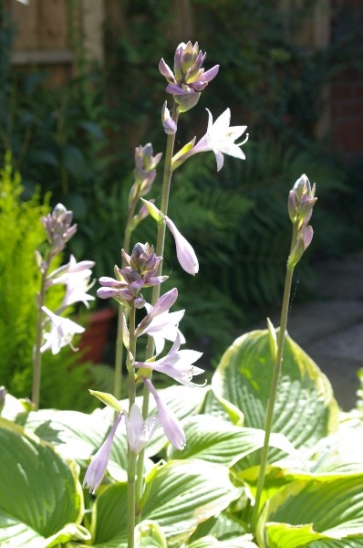 ../Images/IMGP2603.jpg
