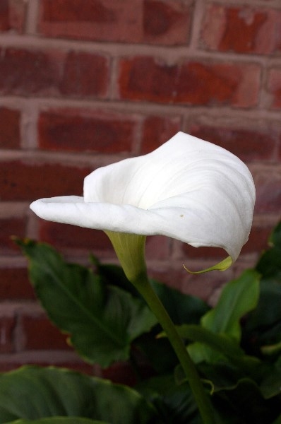../Images/IMGP2607.jpg