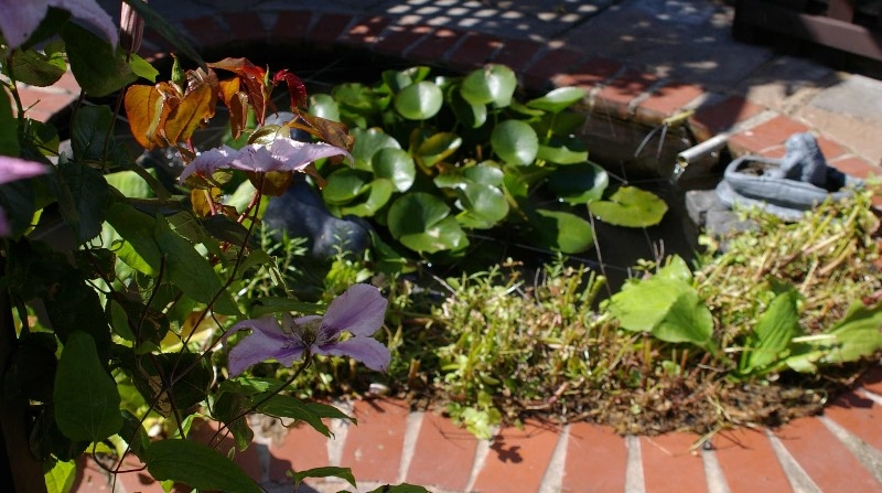 ../Images/IMGP2610.jpg